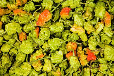 国产恐怖游戏《吃香》主视觉更新，全新道具介绍视频上线